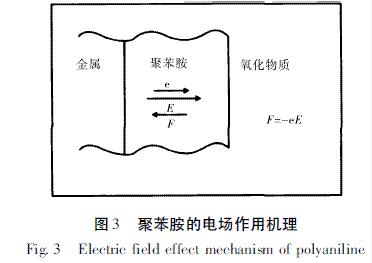 圖3  聚苯胺的電場作用機理